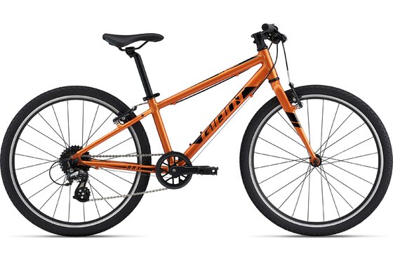24 Zoll - Kindermountainbikes - Giant ARX 24 - 2023 - 24 Zoll - Diamant