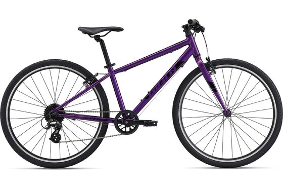 Giant - Mountainbikes - Giant ARX 26 - 2023 - 26 Zoll - Diamant