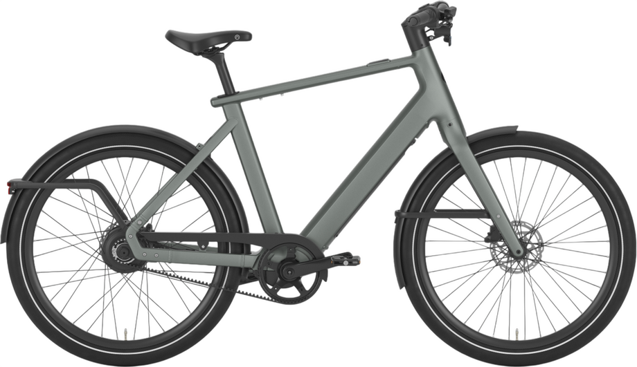 Gazelle Cayo C380 Grün Modell 2025
