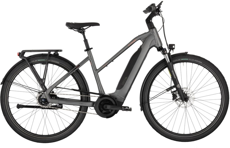 Carver Tour E.420 - B-Ware Grau Modell 2025