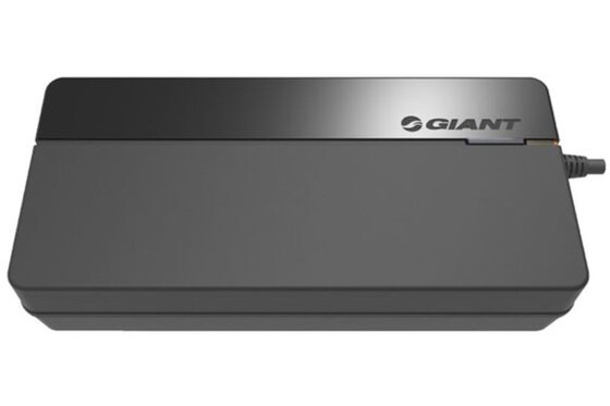 E-Bike Zubehör-Teile - Giant Ladegerät Smart Charger (vollintegrierte Akkus) - 6A