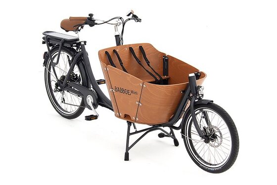 Babboe Slim Mountain - Babboe Mini-E Disc - 450 Wh - 2022 - 26 Zoll