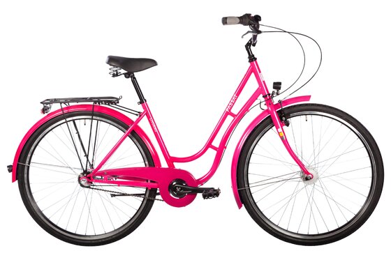 Citybike - Passat Livorno - 2022 - 28 Zoll - Doppelrohr