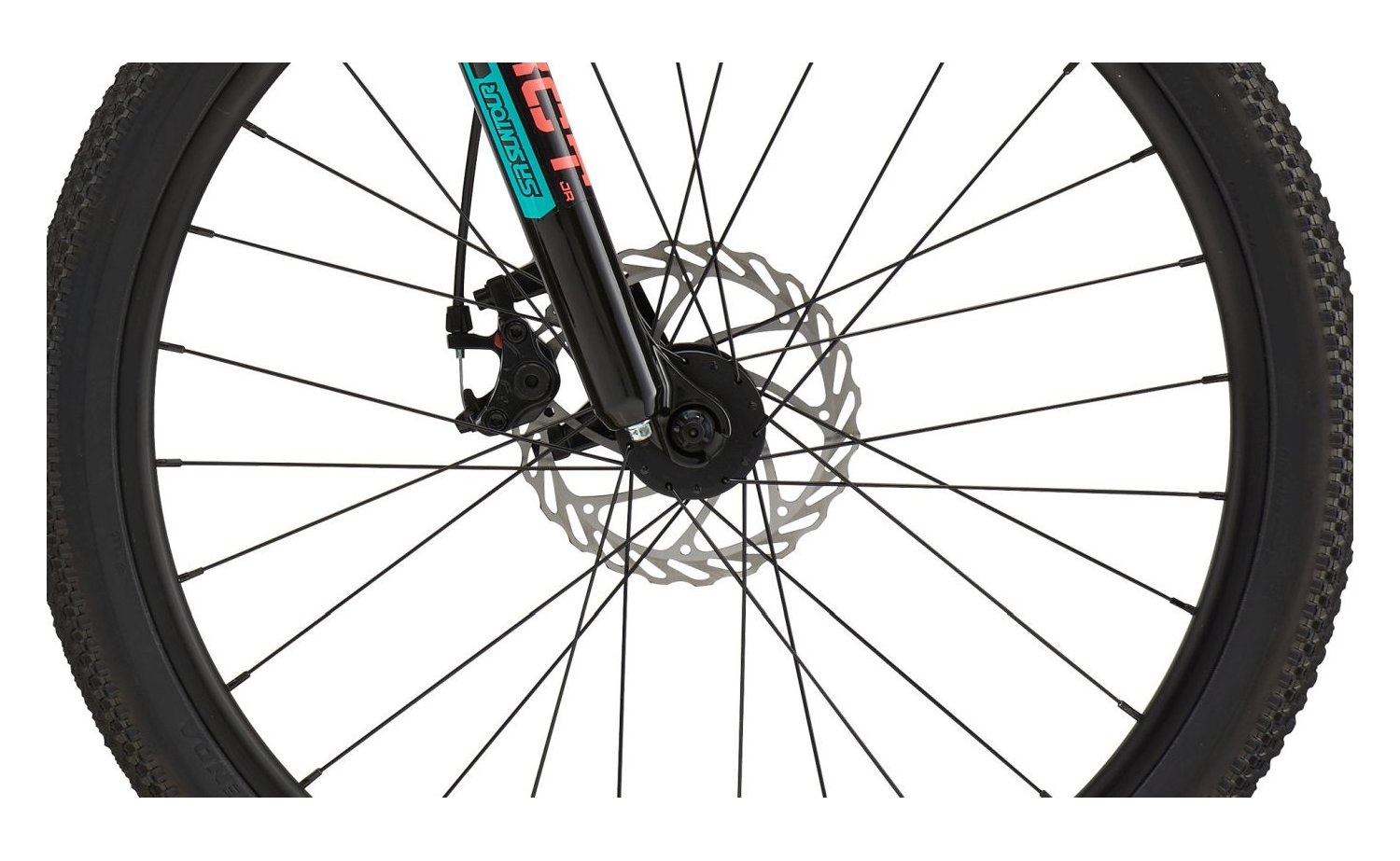 cannondale trail xxl