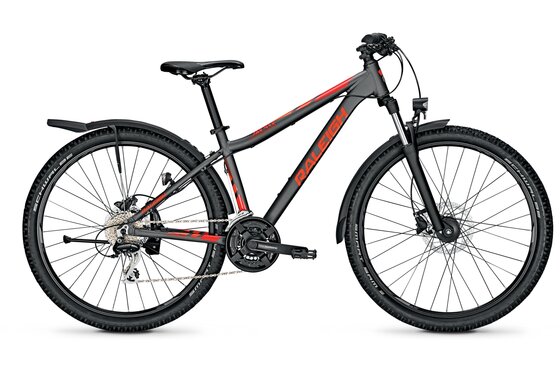 Raleigh - Raleigh Daymax - 2022 - 29 Zoll - Diamant