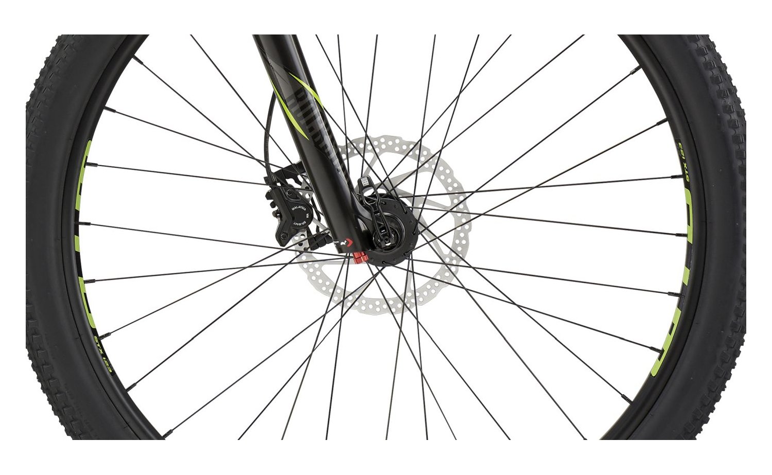 cannondale trail xxl