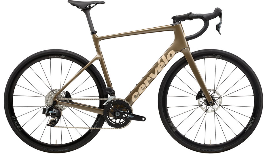 Cervelo Caledonia Rival AXS Braun Modell 2026