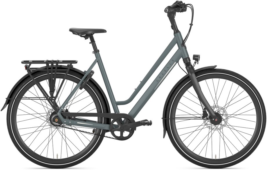 Gazelle Chamonix S8 Grün Modell 2026