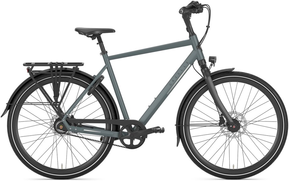 Gazelle Chamonix S8 Grün Modell 2026