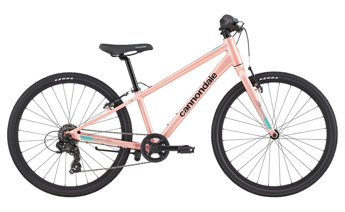 cannondale online shop