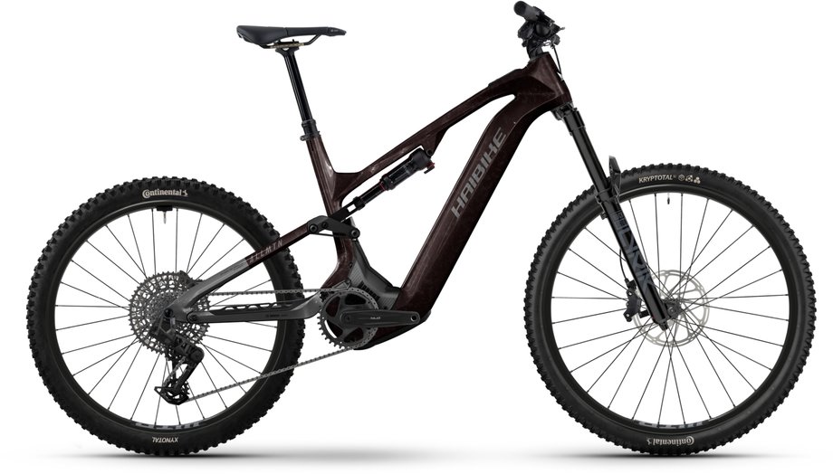 Haibike Allmtn CF 9 Schwarz Modell 2026