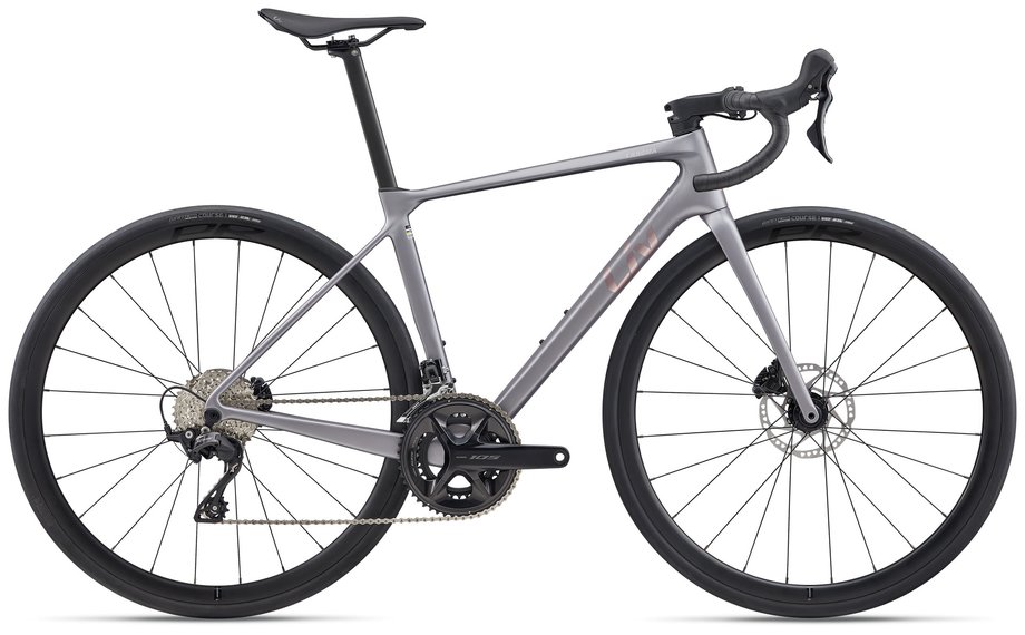 Liv Langma Advanced 2 Grau Modell 2026
