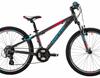 Carver Strict 24 - 2017 - 24 Zoll - Diamant
