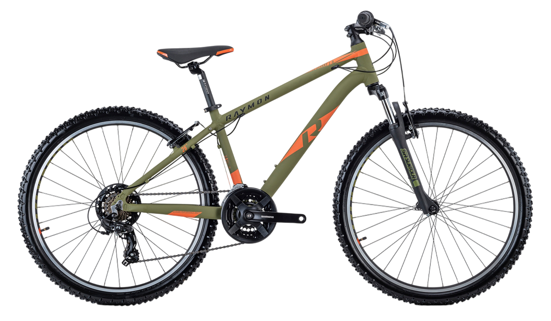 Raymon NineRay 1.0 Grün - 29 Zoll - Diamant (2024)