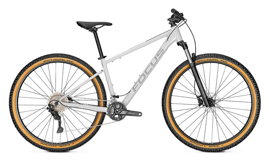 Focus Whistler 3.8 Grau Modell Aktion