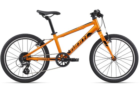 20 Zoll - Kindermountainbikes - Giant ARX 20 - 2023 - 20 Zoll - Diamant