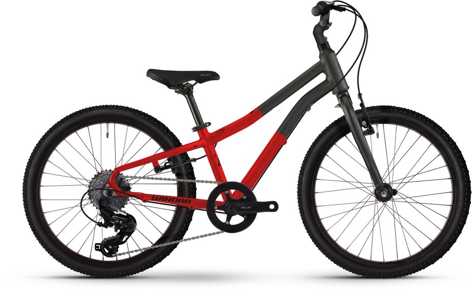 Winora Rage 20