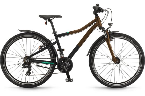 Winora - Winora Rage 26 - 2023 - 26 Zoll - Diamant