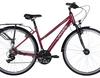 Lakes Arco 90 - 2019 - 28 Zoll - Damen Sport