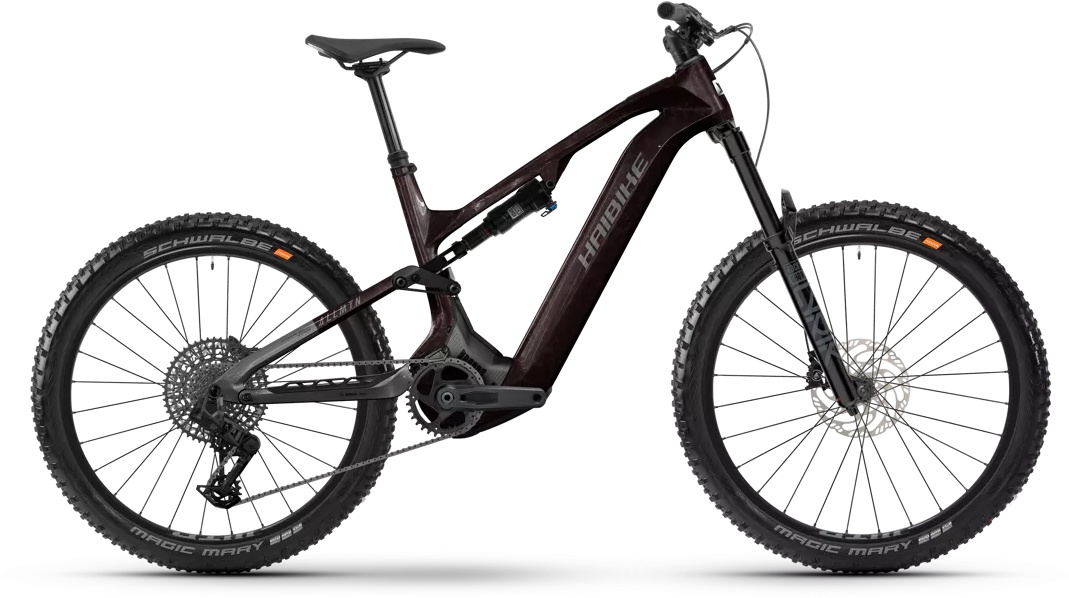 Haibike Allmtn CF 9 Black/Platinum - 800 Wh - 29/27,5 Zoll - Fully (2025)