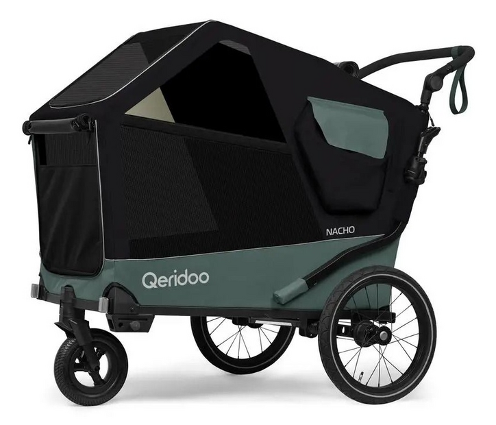 Qeridoo Nacho L Green Grün Modell 2025