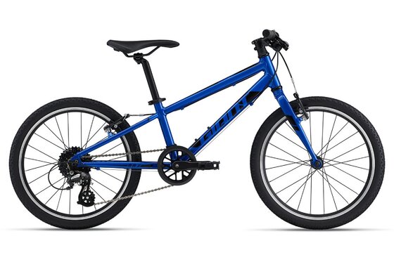 20 Zoll - Kindermountainbikes - Giant ARX 20 - 2023 - 20 Zoll - Diamant