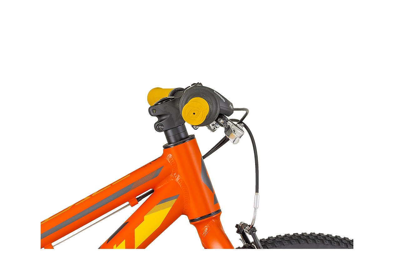 scott scale jr 20 2018