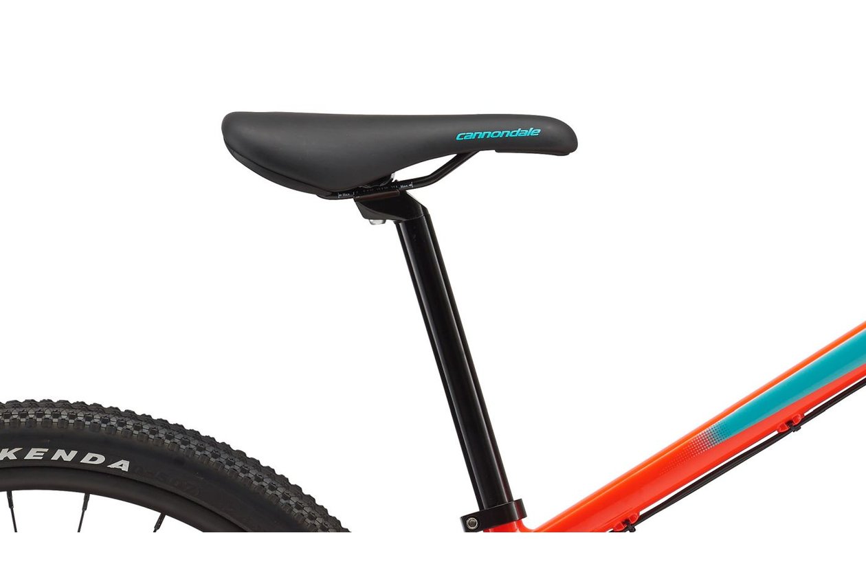 cannondale trail xxl