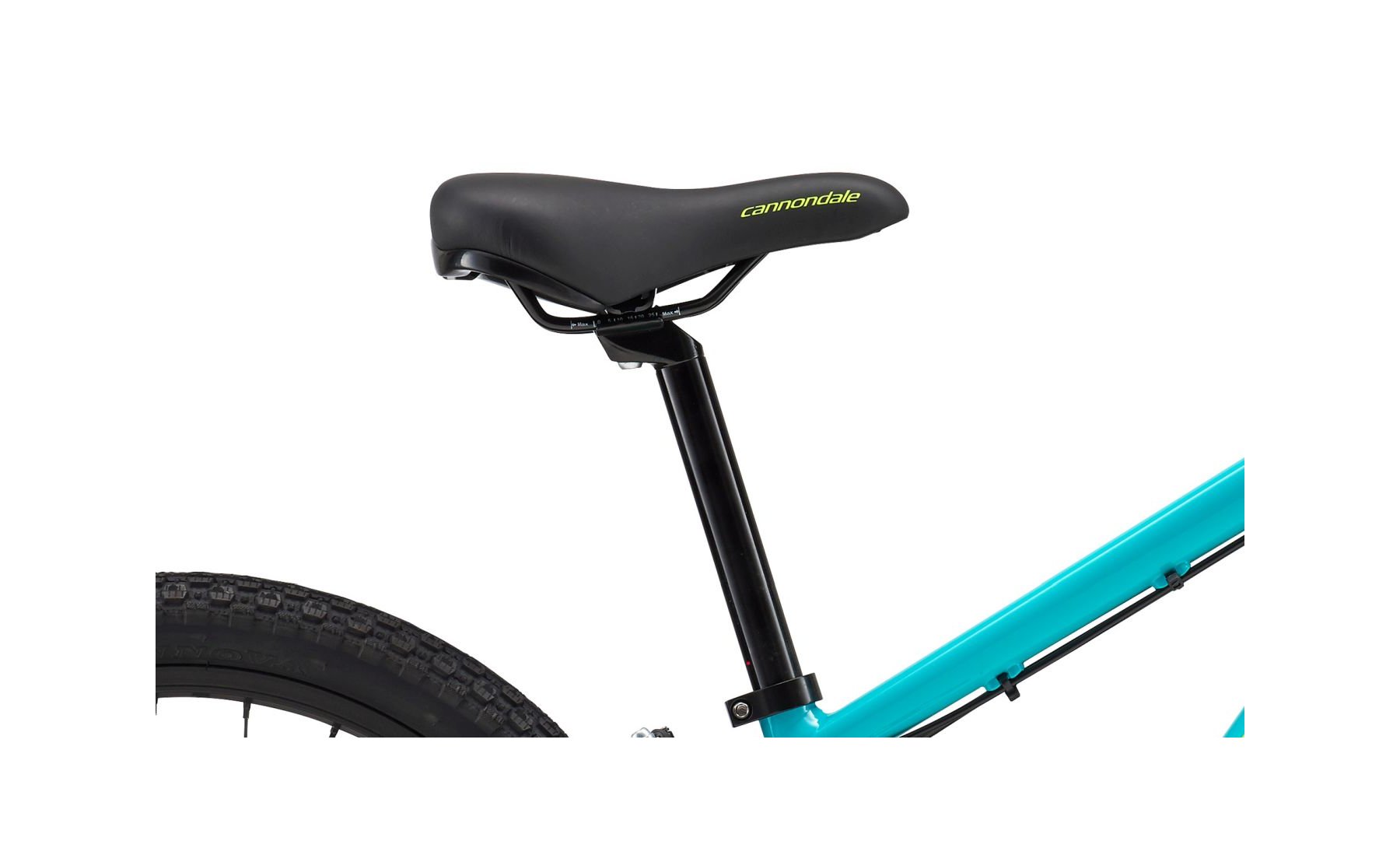 cannondale trail xxl