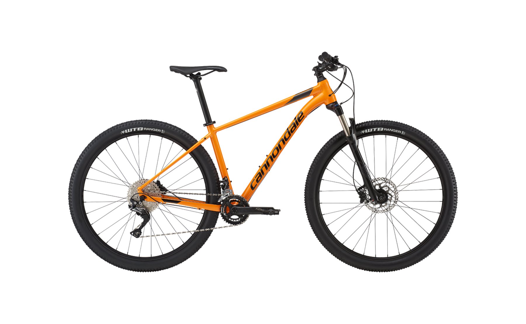 Cannondale Trail 3 2019 29 Zoll günstig kaufen Fahrrad XXL