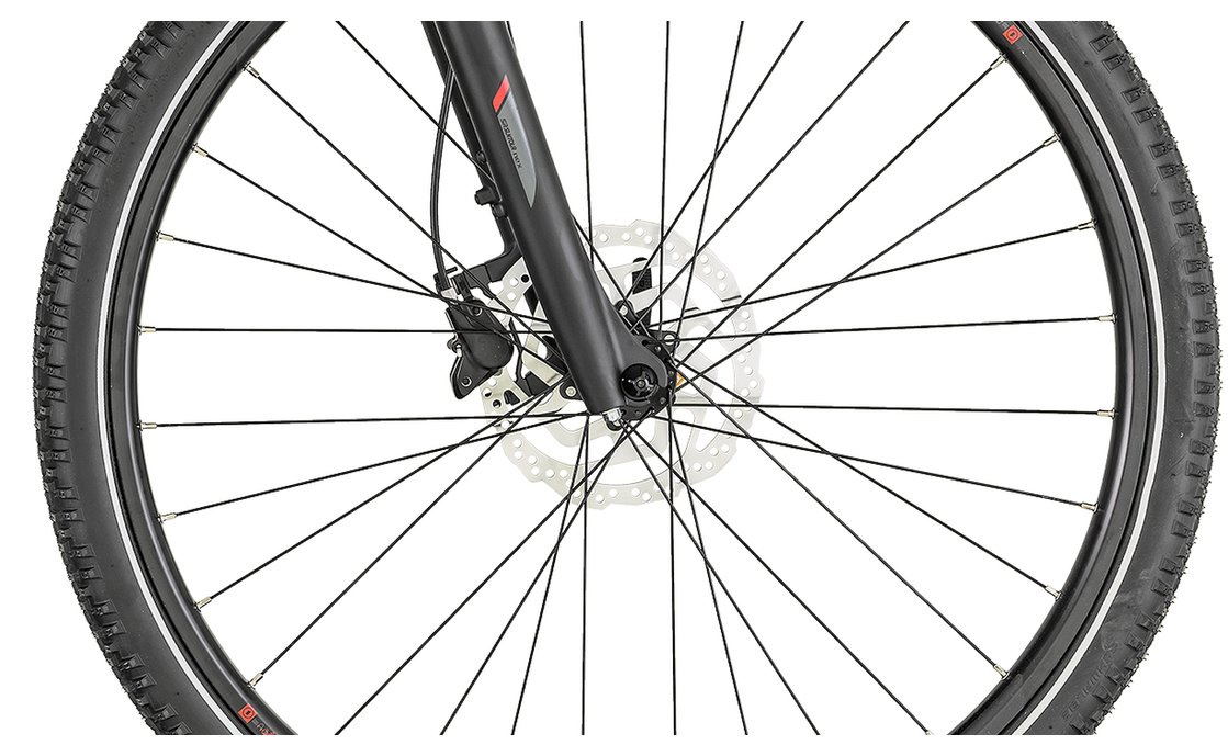 scott sub cross 10 2019