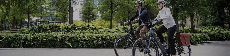 E-Bike-Typen E-Citybike