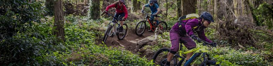 E-Bike Typen E-Mountainbikes