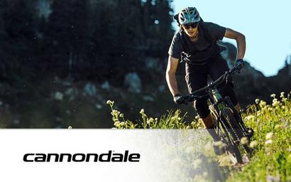 Cannondale Cannondale_Grafik neu