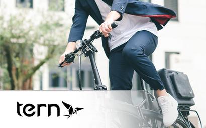 Tern Tern_Grafik neu