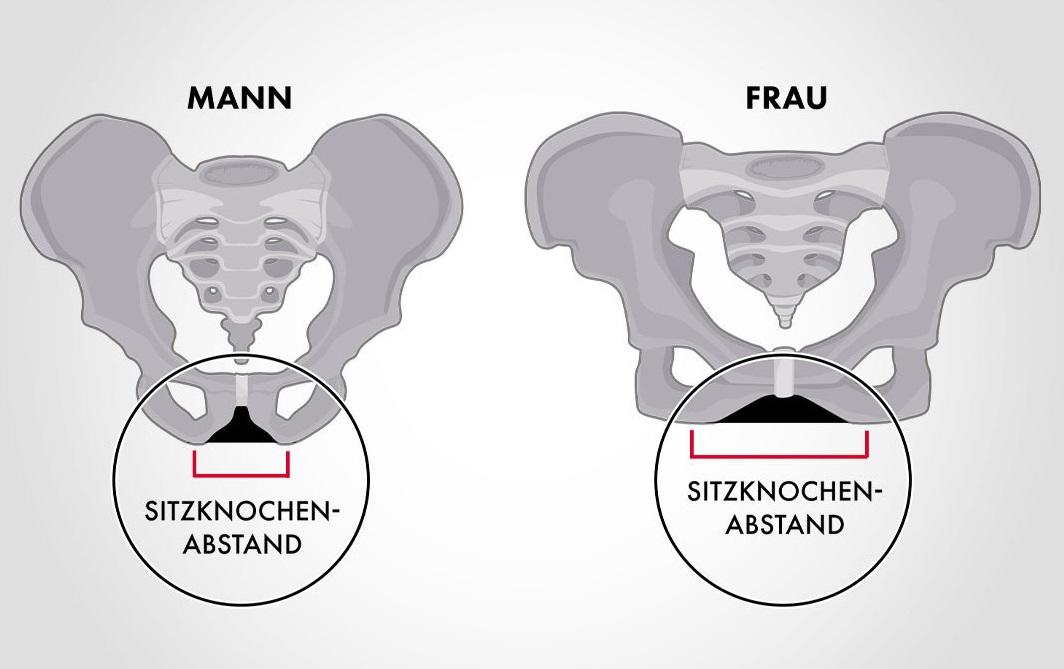 Sattelbreite: Unterschied Sitzknochenabstand Mann Frau