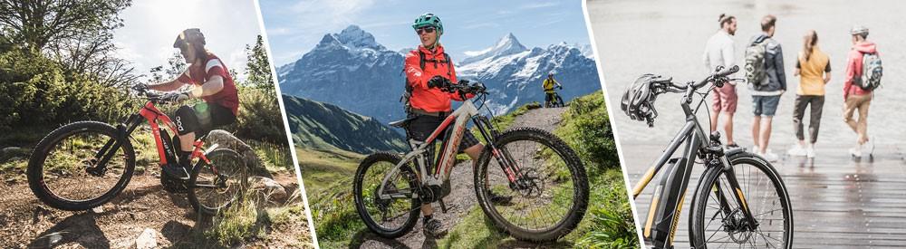 E-Bike Marken und Hersteller in der Übersicht E-Bike Marken und Hersteller in der Übersicht Header