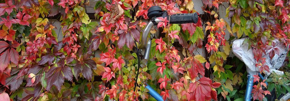 Fahrradcheck für den Herbst Fahrradcheck für den Herbst 5 Tipps