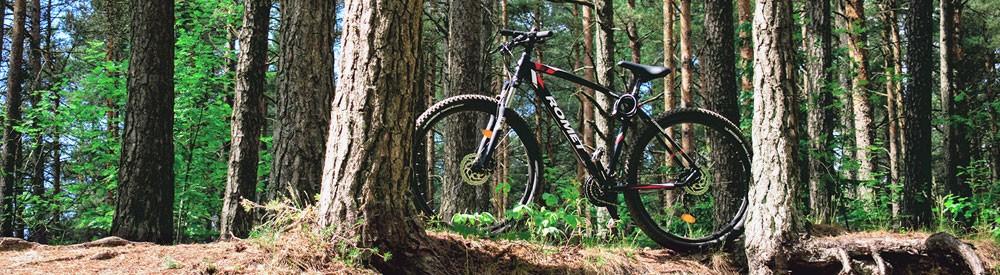 Mountainbike Einsteiger Guide Mountainbike Einsteiger Guide
