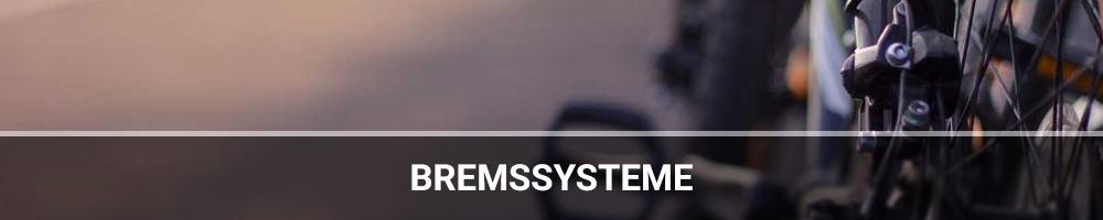 Bremssysteme Weiterleitung