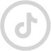 Social Icons TikTok