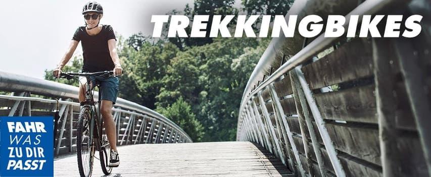 Trekkingbikes die Fahrräder für Touren Trekkingbikes die Fahrräder für Touren