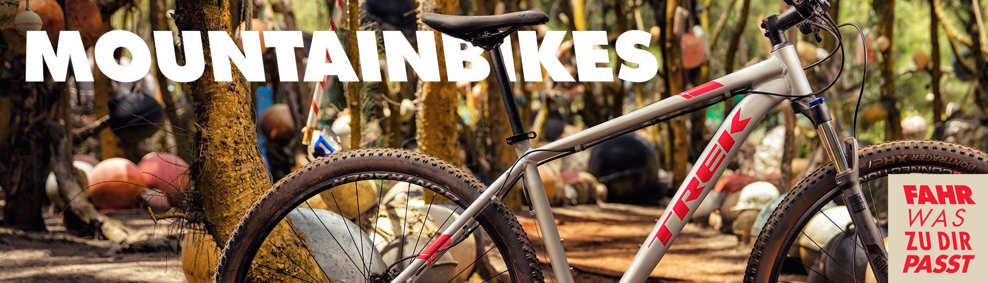 Mountainbike vs. Trekkingrad - was passt zu dir?