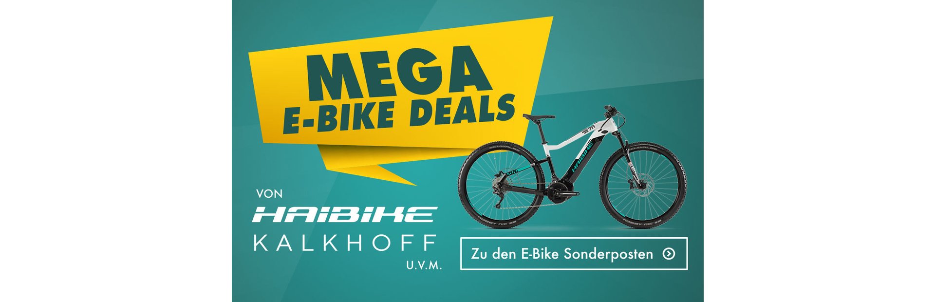 fahrrad franz mainz prospekt