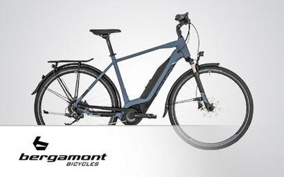 Bergamont