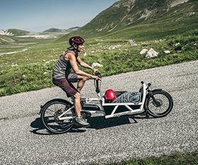 Lastenrad Lastenrad