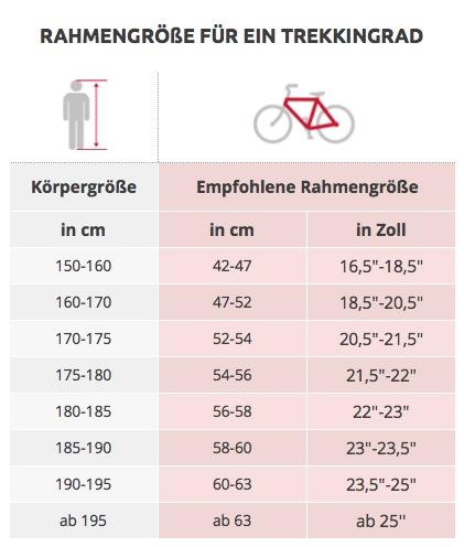 Rahmengröße Trekkingrad